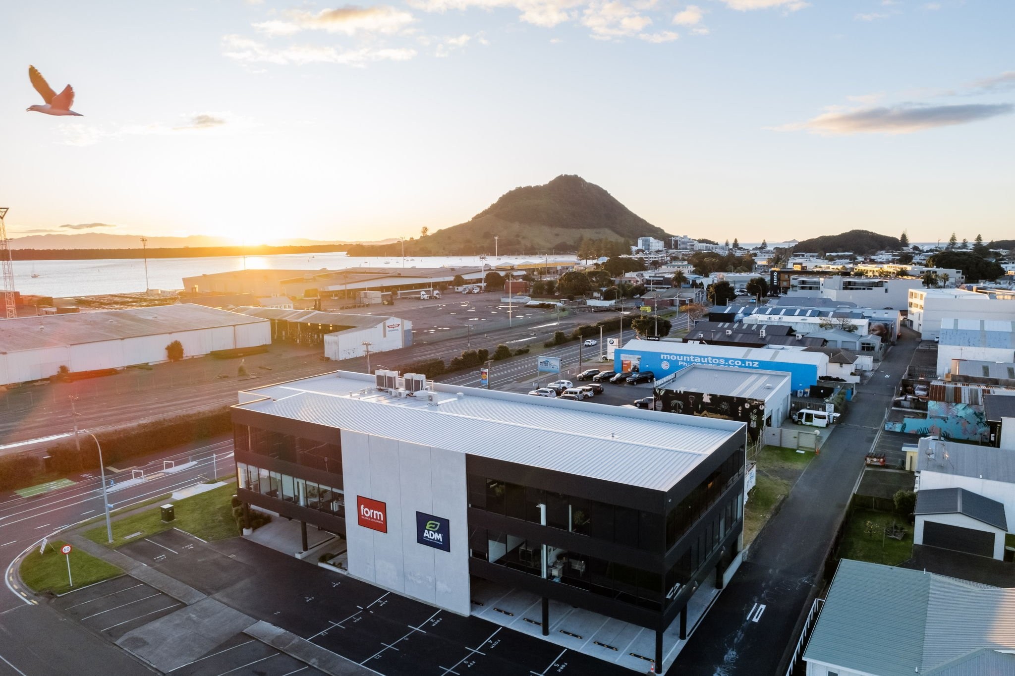 Totara Street — office design, Mount Maunganui, Tauranga — view 5