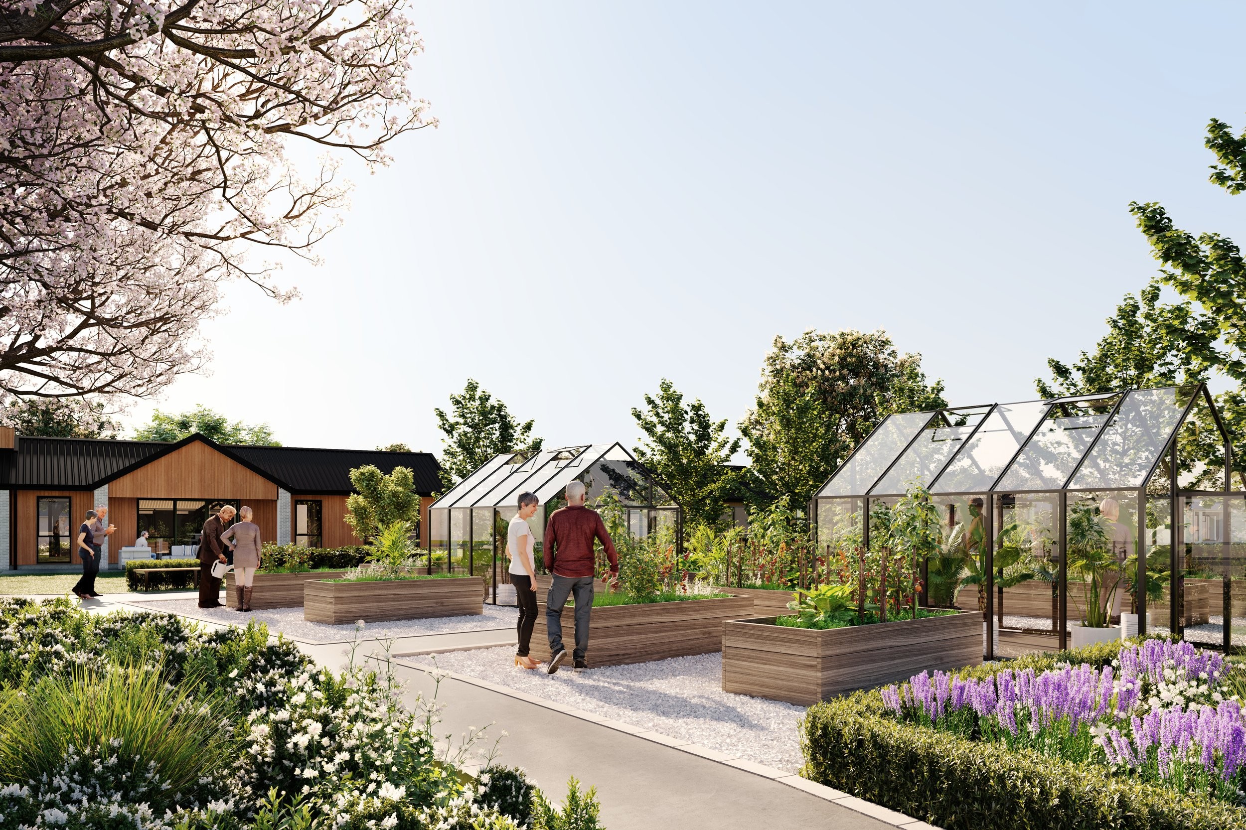 Lockerbie Retirement Village — retirement village design, Morrinsville, Waikato — view 11