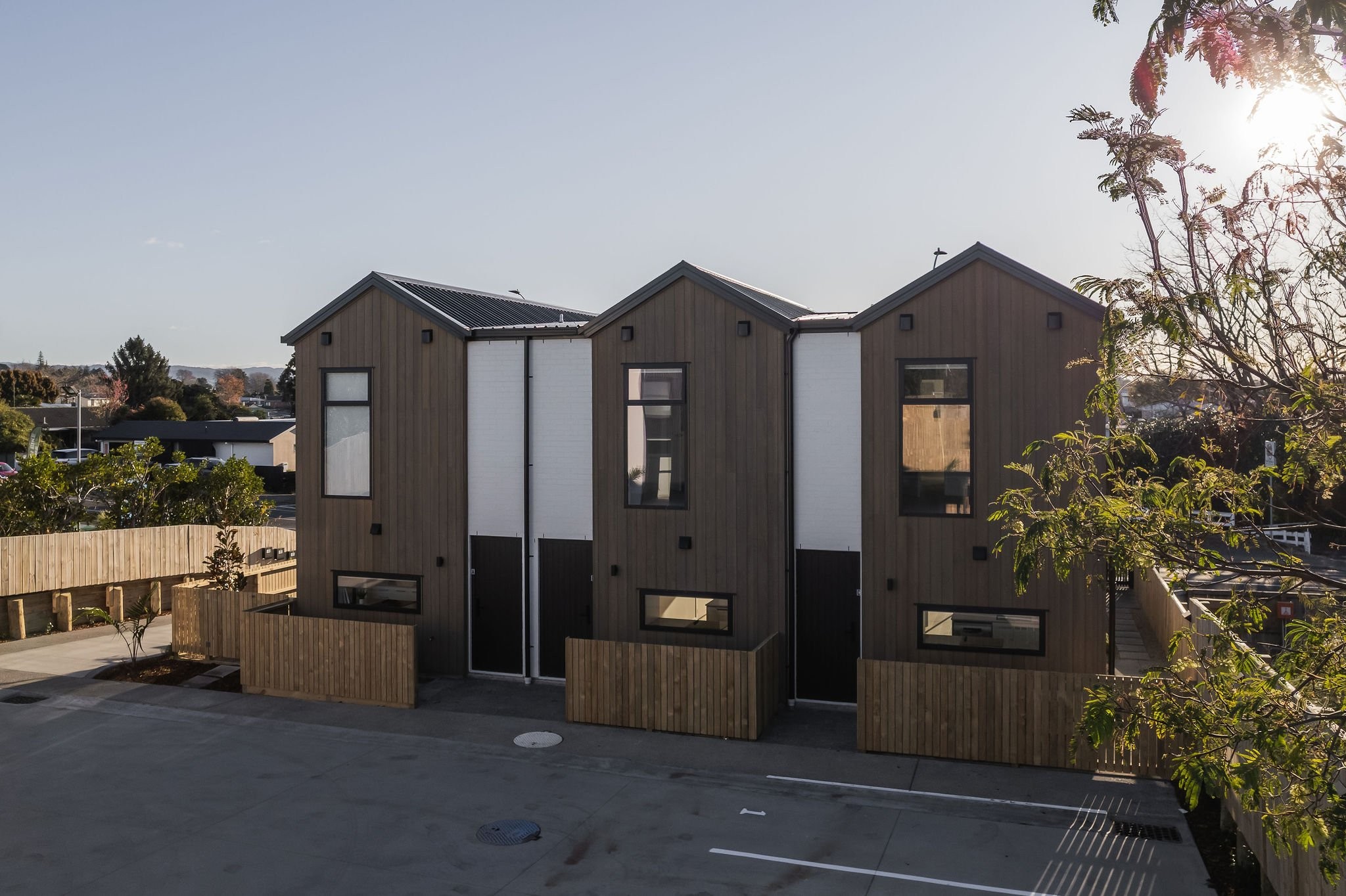 Cameron Road Townhouses — townhouse design — view 6