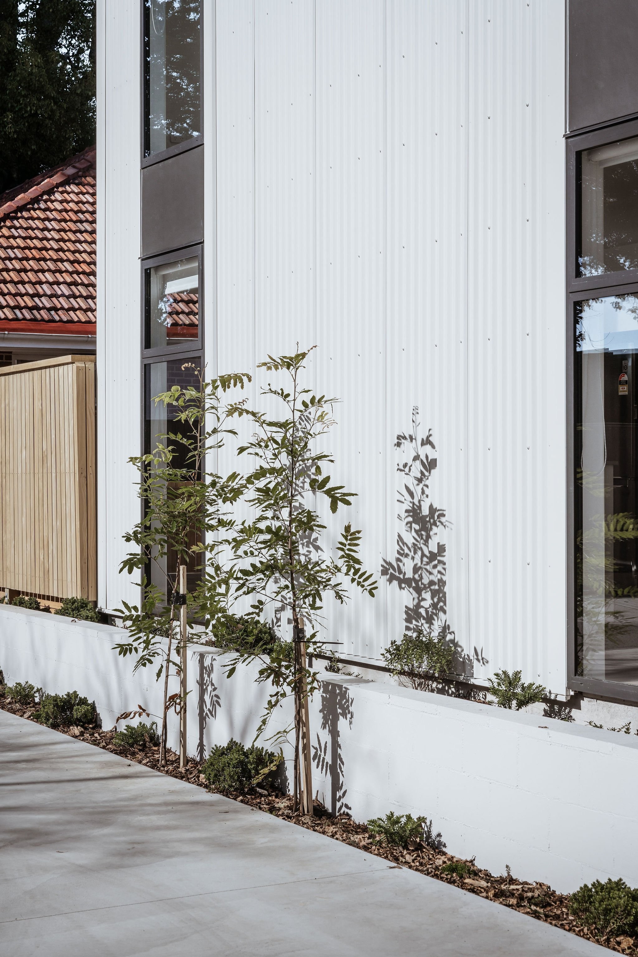 Lumina Stage 2 — townhouse design — view 9